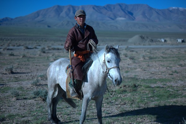 Our Mongolian shepherd visitor